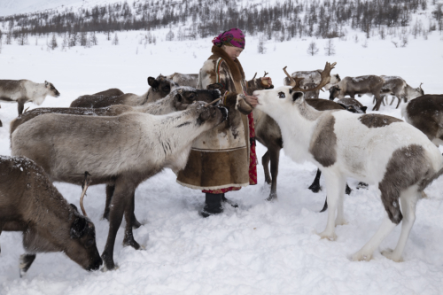 Nenet-People-20.21-1